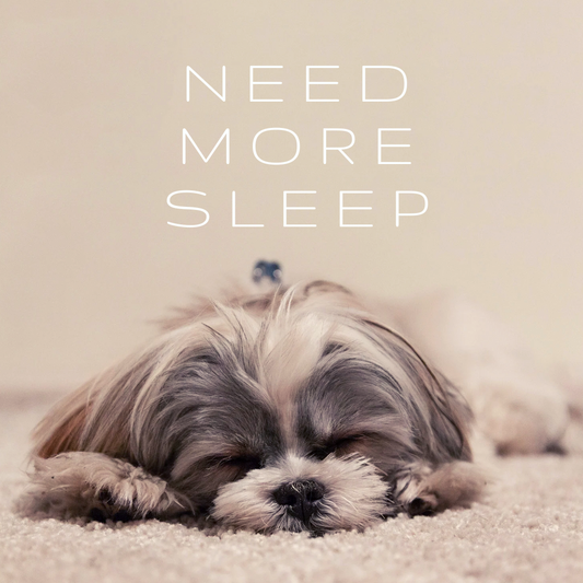 Why Good Sleep is Everything And the Best Stuff to Help You Get It